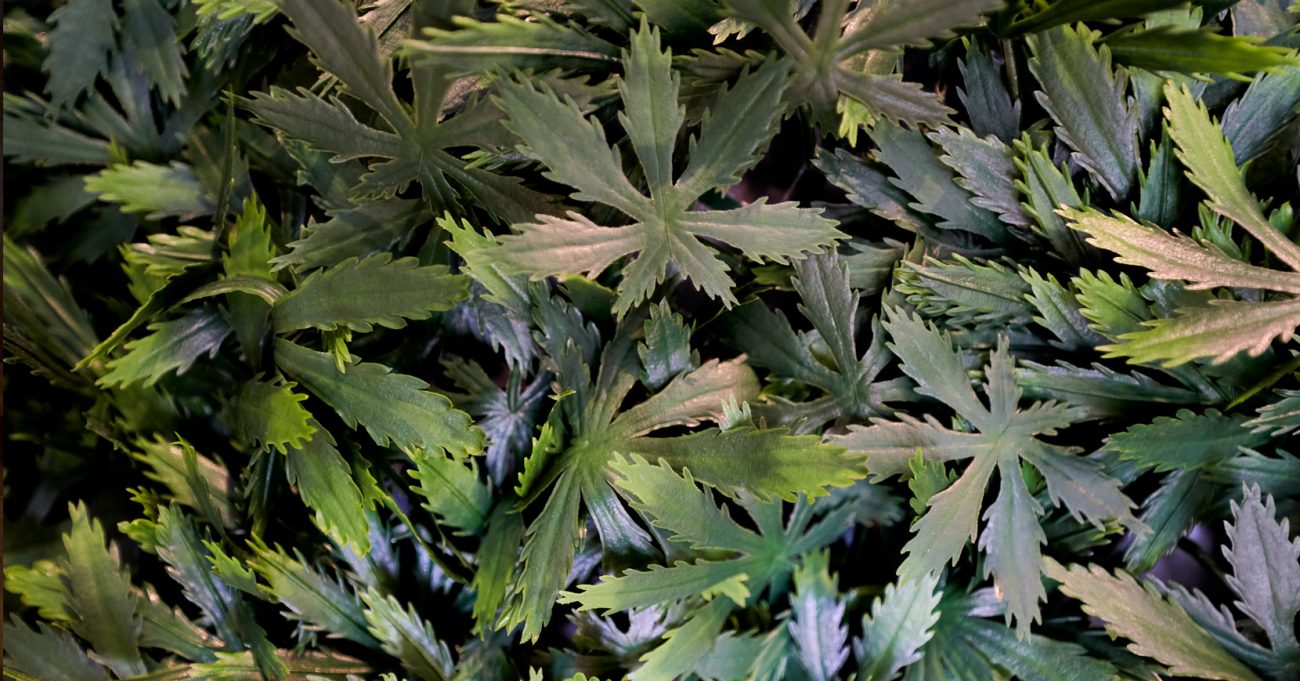 gbd-interior6