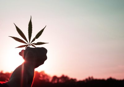 cannabis-leaf-sun-dusk